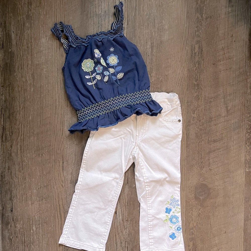 EUC Pumpkin Patch Sz 2 outfit